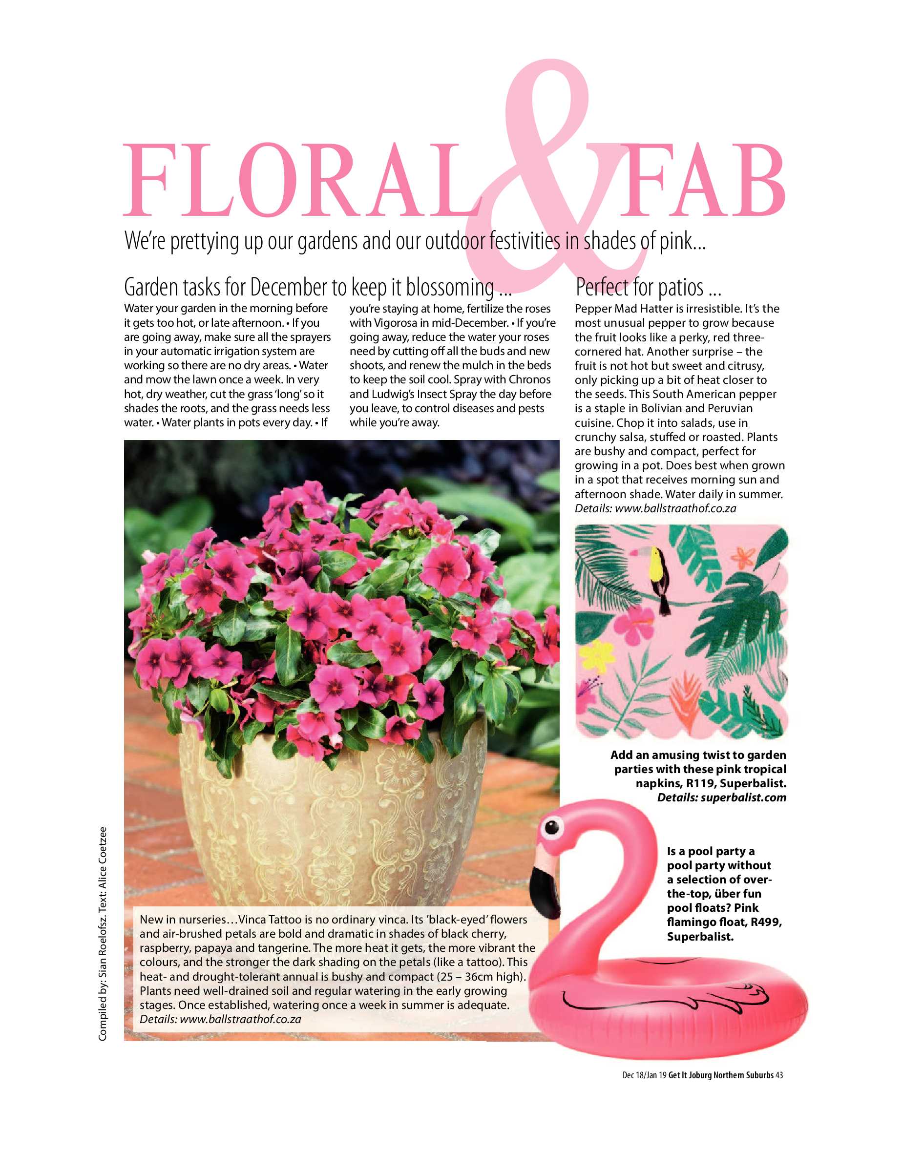 Get It Joburg North Dec 18 / Jan 19 page 43