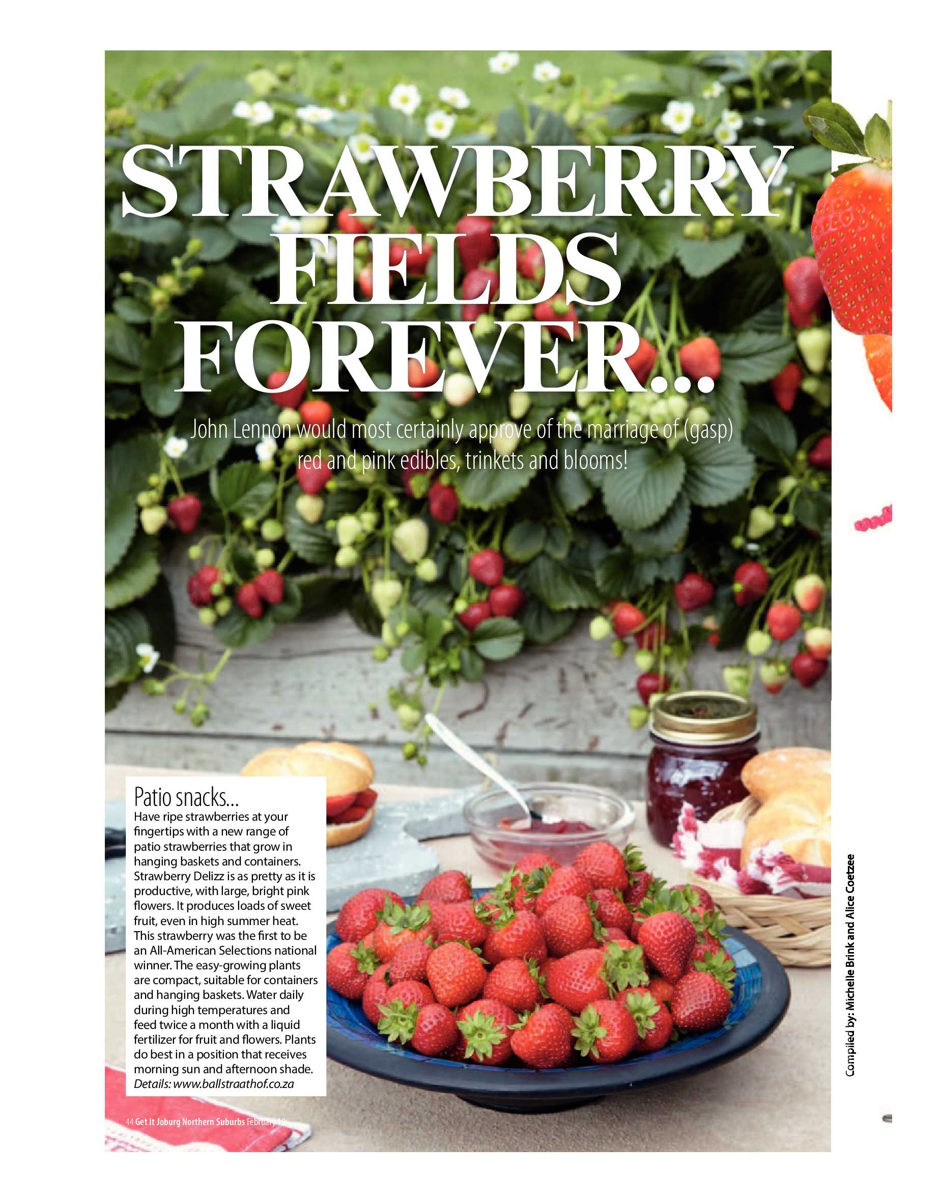 Get It Joburg North February 2019 page 44