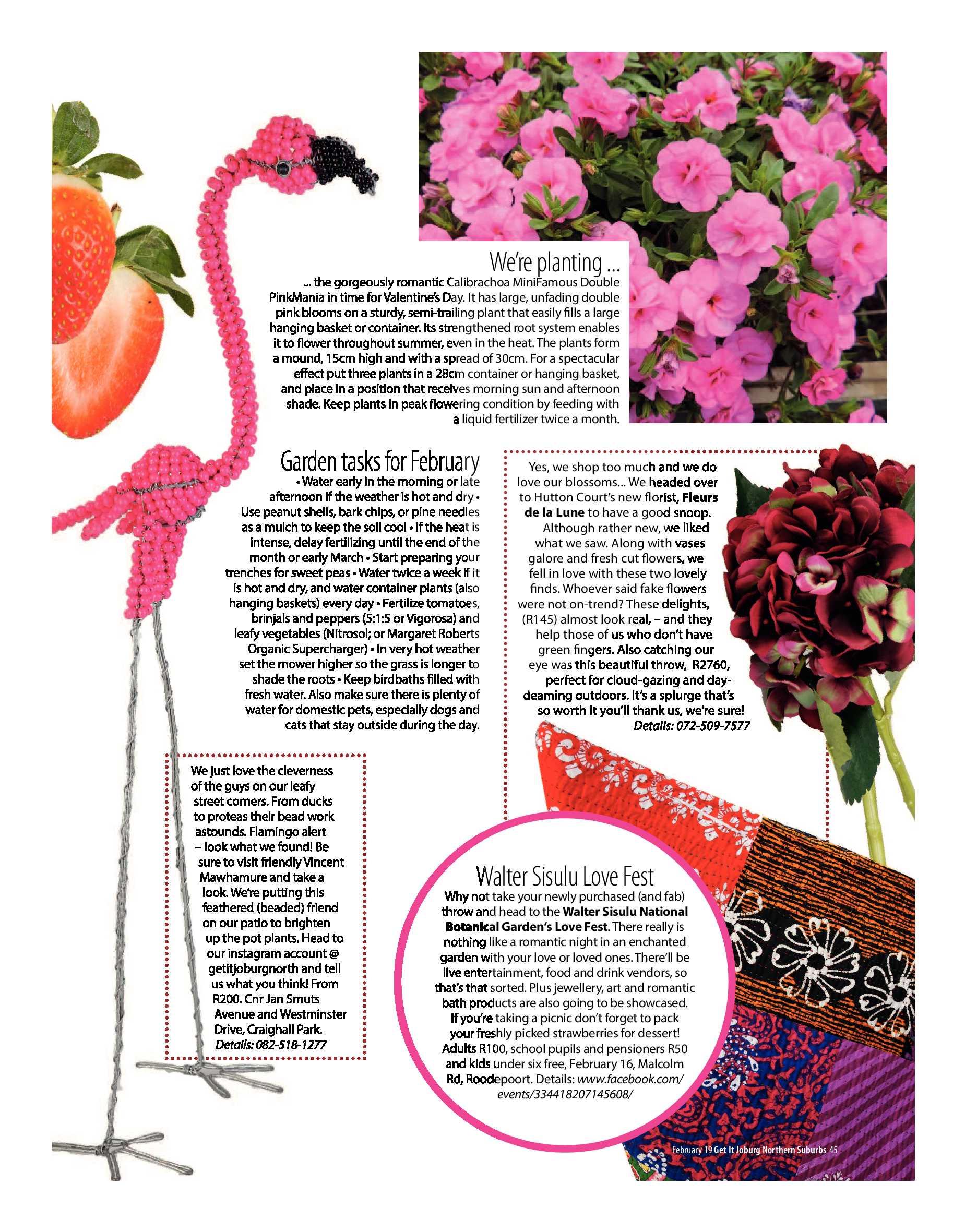 Get It Joburg North February 2019 page 45