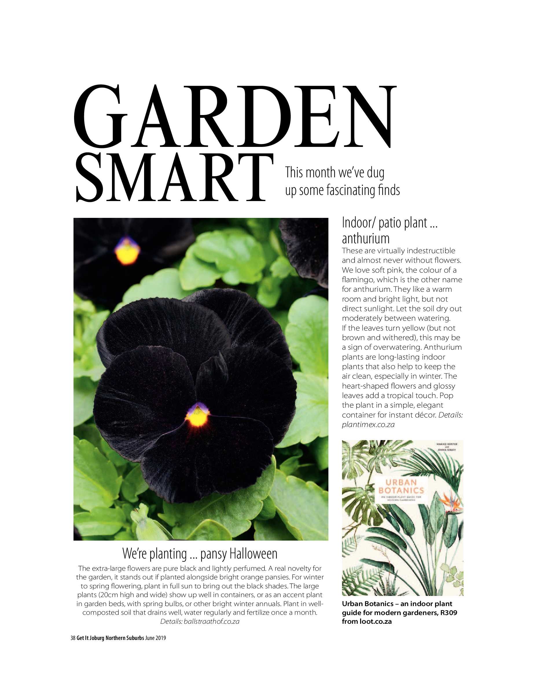 Get It Joburg North June 2019 page 38