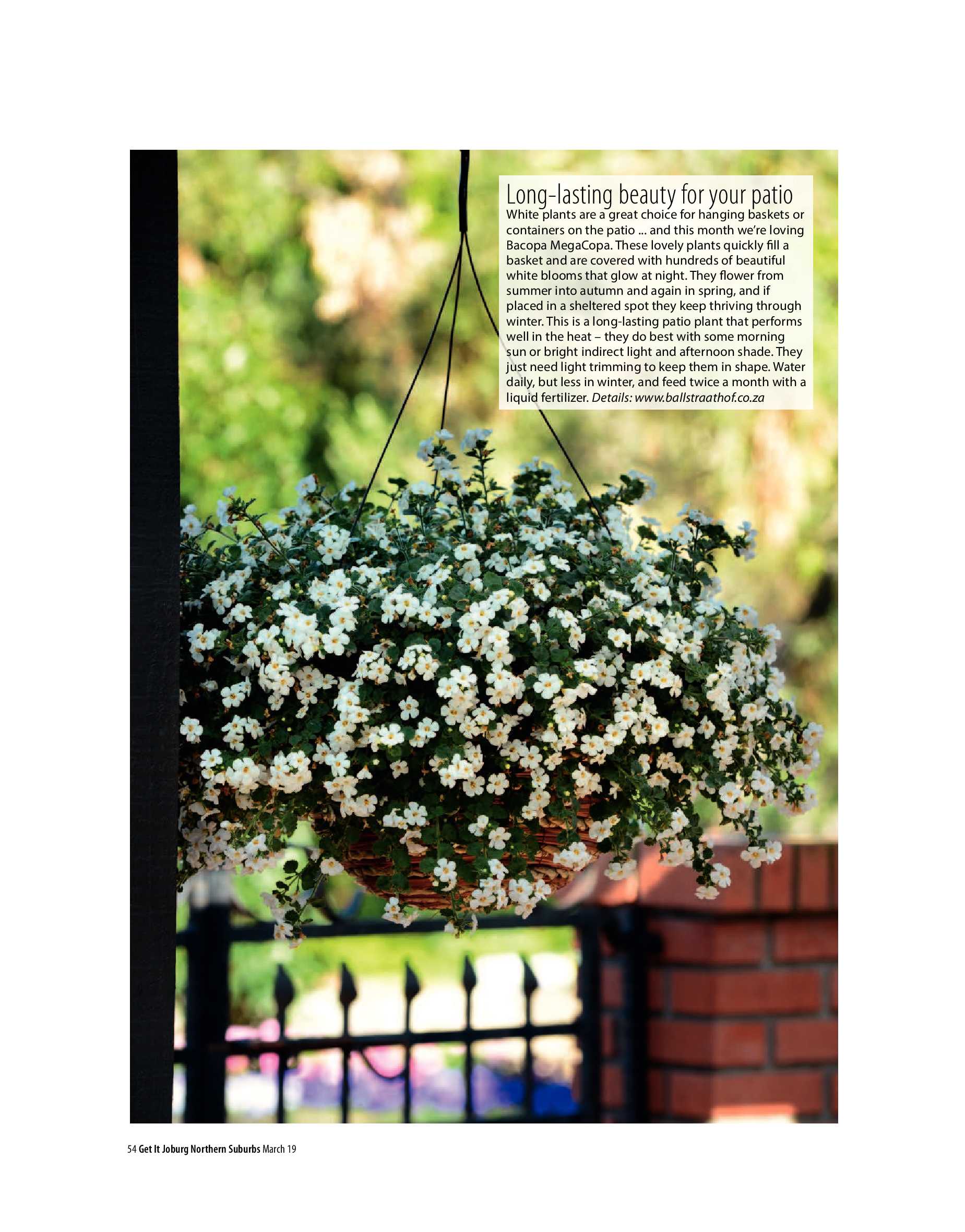 Get It Joburg North March 2019 page 54