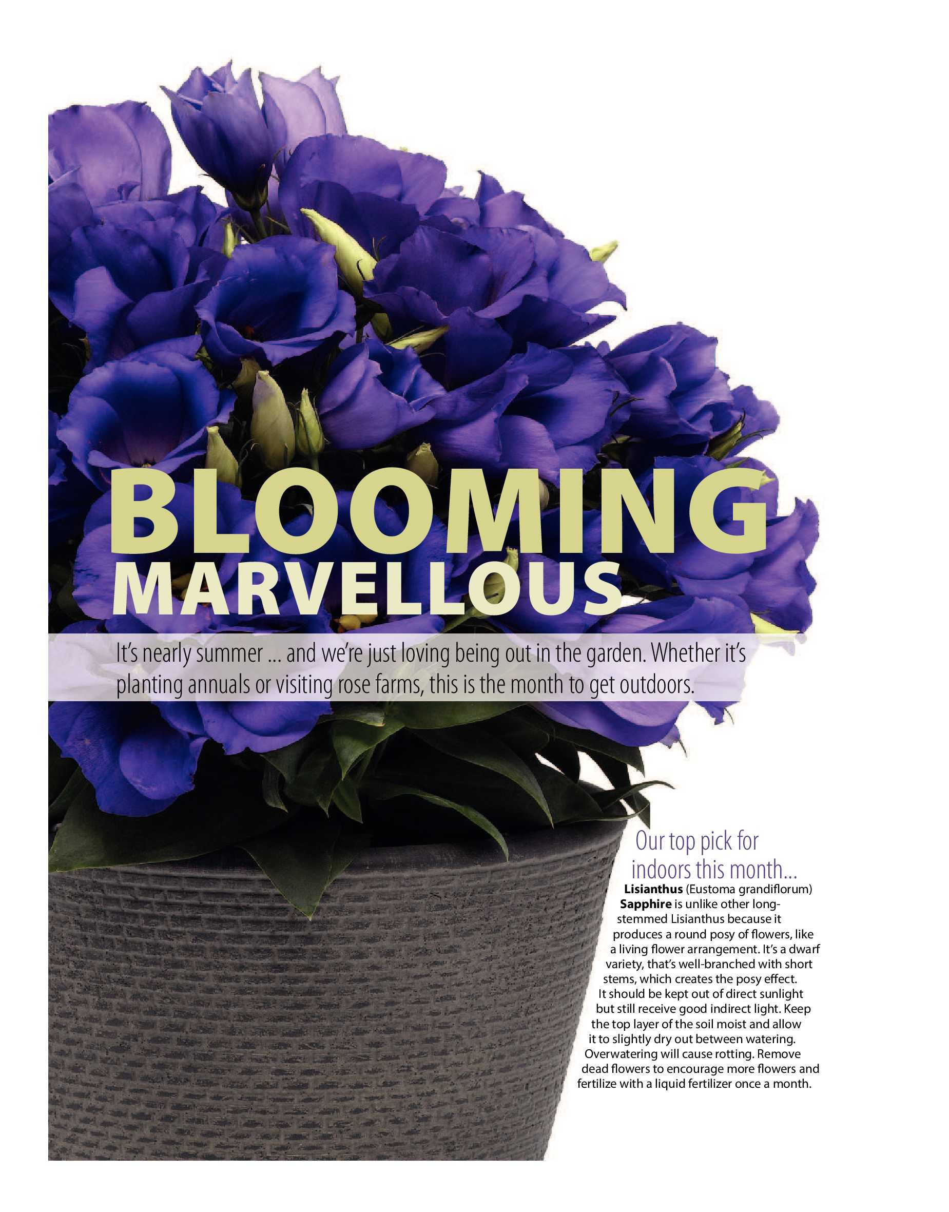 Get It Joburg North October 2018 page 40