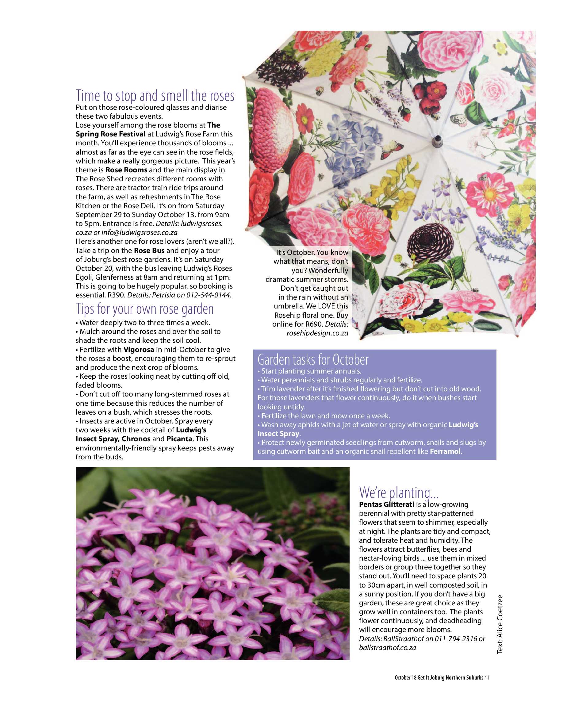 Get It Joburg North October 2018 page 41