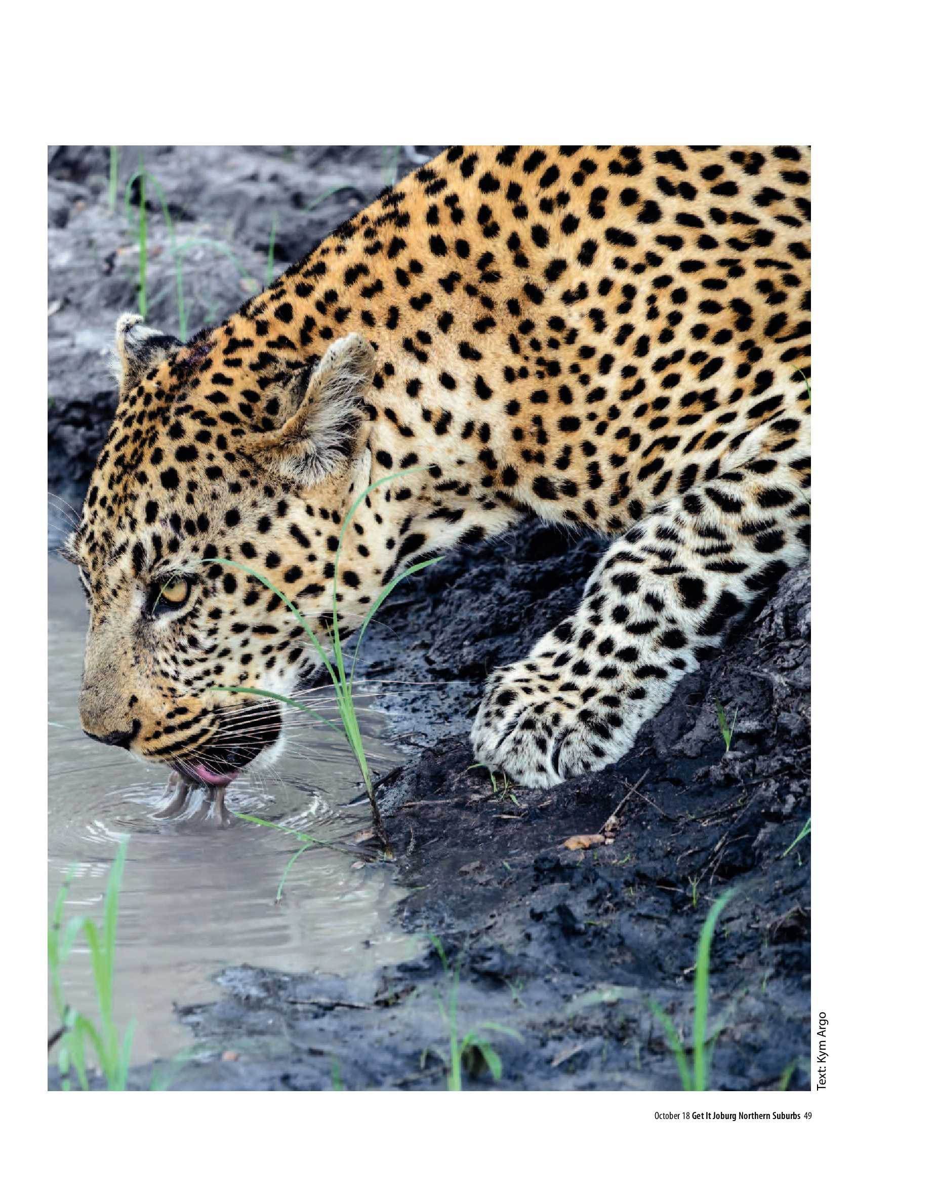 Get It Joburg North October 2018 page 49