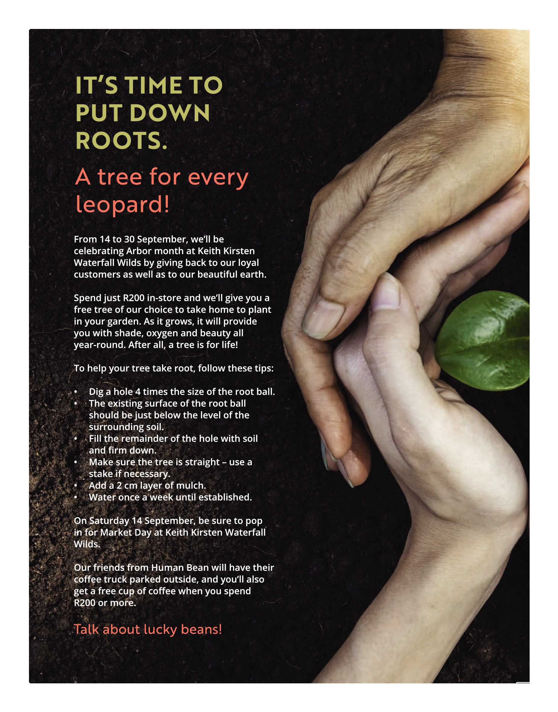 Get It Joburg North September 2019 page 32