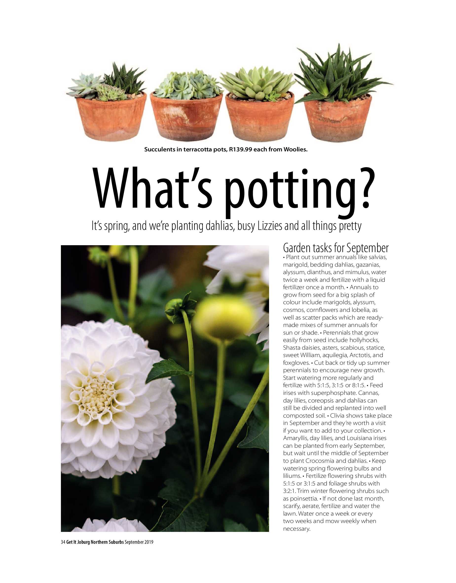 Get It Joburg North September 2019 page 34